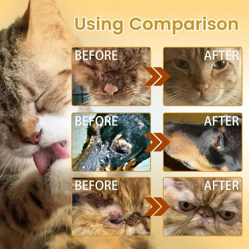 Se061066f5ff54a469a26f6b2edc5cd57H